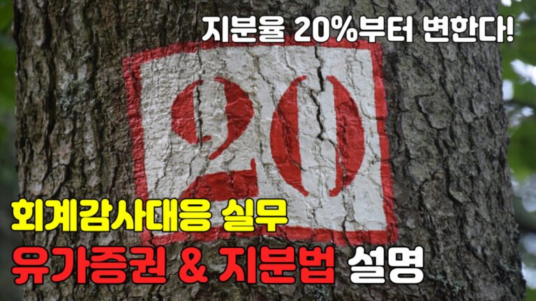 [회계감사대응] 유가증권 및 지분법