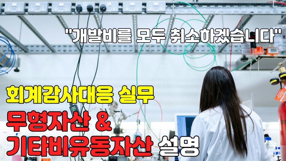 Read more about the article [회계감사대응] 무형자산 및 기타비유동자산