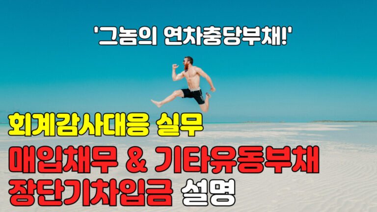 [회계감사대응] 매입채무 & 기타유동부채, 장단기차입금 설명
