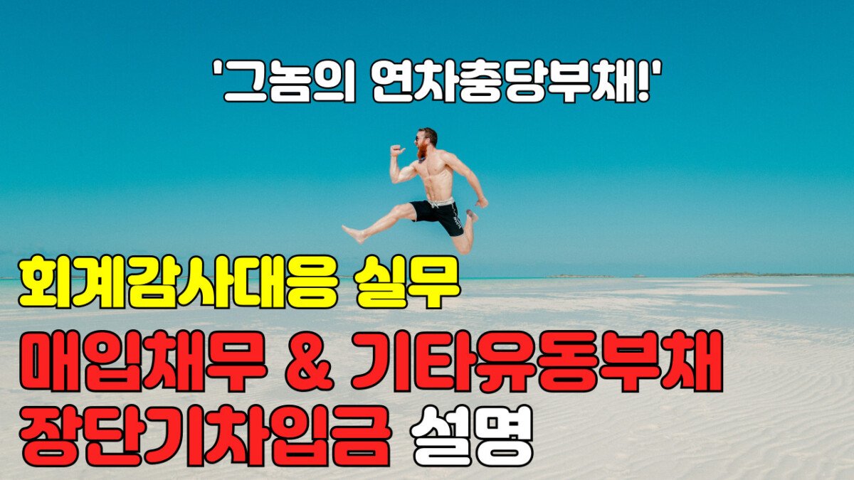 Read more about the article [회계감사대응] 매입채무 & 기타유동부채, 장단기차입금 설명