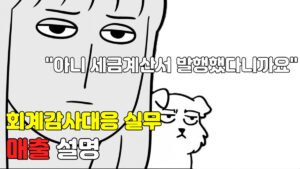 Read more about the article [회계감사대응] 매출 설명