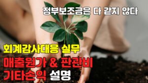Read more about the article [회계감사대응] 매출원가 및 판관비, 기타손익 설명