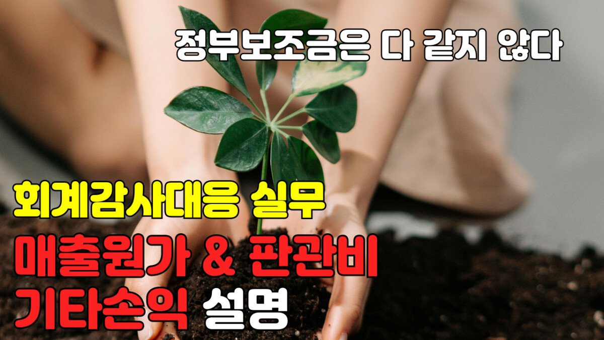 Read more about the article [회계감사대응] 매출원가 및 판관비, 기타손익 설명