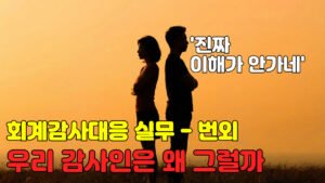 Read more about the article [회계감사대응] 우리 감사인은 왜 그럴까